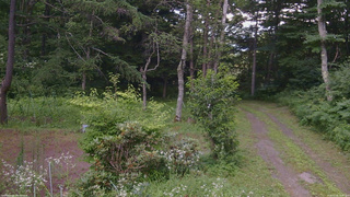 長野県菅平高原 ゆたか山荘 坂上 2026/07/24 18:00