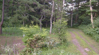 長野県菅平高原 ゆたか山荘 坂上 2026/07/24 18:15