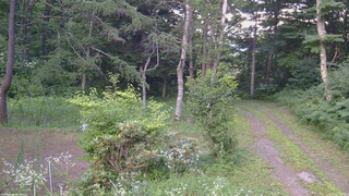 長野県菅平高原 ゆたか山荘 坂上 2026/07/24 18:30