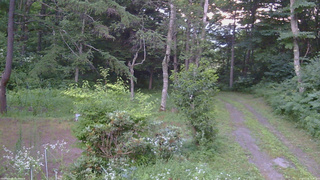 長野県菅平高原 ゆたか山荘 坂上 2026/07/24 18:45