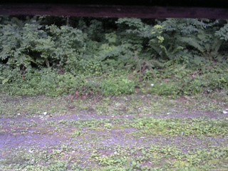 長野県菅平高原 ゆたか山荘 東側(坂下) 2026/07/25 05:30