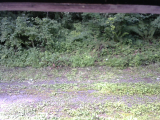 長野県菅平高原 ゆたか山荘 東側(坂下) 2026/07/25 09:00