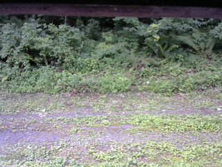 長野県菅平高原 ゆたか山荘 東側(坂下) 2026/07/25 09:15