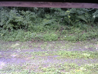 長野県菅平高原 ゆたか山荘 東側(坂下) 2026/07/25 09:45