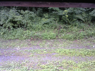長野県菅平高原 ゆたか山荘 東側(坂下) 2026/07/25 10:00