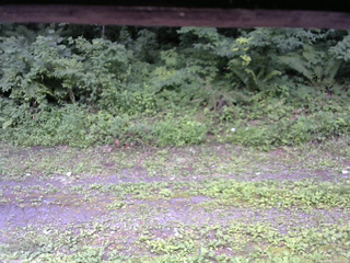 長野県菅平高原 ゆたか山荘 東側(坂下) 2026/07/25 10:15