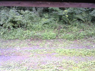 長野県菅平高原 ゆたか山荘 東側(坂下) 2026/07/25 11:00