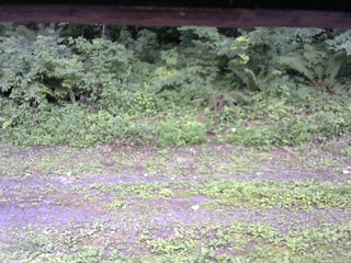 長野県菅平高原 ゆたか山荘 東側(坂下) 2026/07/25 11:45