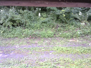 長野県菅平高原 ゆたか山荘 東側(坂下) 2026/07/25 13:00
