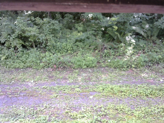 長野県菅平高原 ゆたか山荘 東側(坂下) 2026/07/25 13:15
