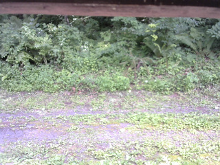 長野県菅平高原 ゆたか山荘 東側(坂下) 2026/07/25 14:15