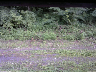 長野県菅平高原 ゆたか山荘 東側(坂下) 2026/07/25 17:30