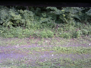 長野県菅平高原 ゆたか山荘 東側(坂下) 2026/07/25 17:45