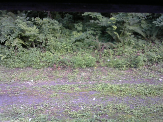 長野県菅平高原 ゆたか山荘 東側(坂下) 2026/07/25 18:00