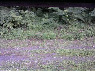 長野県菅平高原 ゆたか山荘 東側(坂下) 2026/07/25 18:15