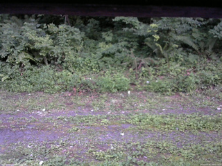 長野県菅平高原 ゆたか山荘 東側(坂下) 2026/07/25 18:45