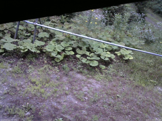 長野県菅平高原 ゆたか山荘 駐車場 2026/07/25 05:00