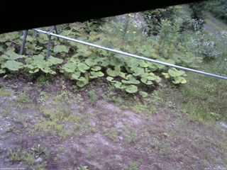 長野県菅平高原 ゆたか山荘 駐車場 2026/07/25 05:30