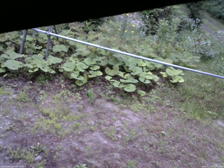 長野県菅平高原 ゆたか山荘 駐車場 2026/07/25 05:45