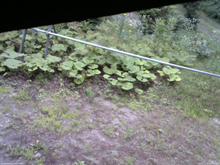 長野県菅平高原 ゆたか山荘 駐車場 2026/07/25 06:30
