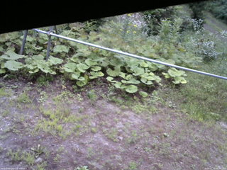 長野県菅平高原 ゆたか山荘 駐車場 2026/07/25 06:45