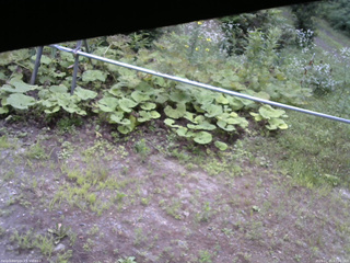 長野県菅平高原 ゆたか山荘 駐車場 2026/07/25 07:00