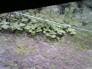 長野県菅平高原 ゆたか山荘 駐車場 2026/07/25 07:15