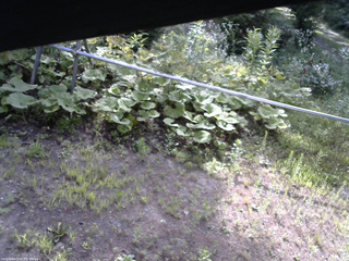 長野県菅平高原 ゆたか山荘 駐車場 2026/07/25 07:45