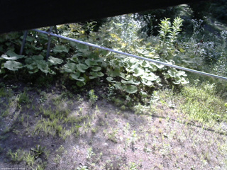 長野県菅平高原 ゆたか山荘 駐車場 2026/07/25 08:00