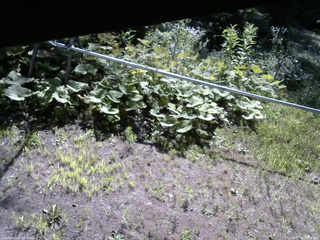 長野県菅平高原 ゆたか山荘 駐車場 2026/07/25 08:30