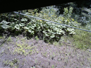 長野県菅平高原 ゆたか山荘 駐車場 2026/07/25 08:45
