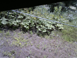 長野県菅平高原 ゆたか山荘 駐車場 2026/07/25 09:00