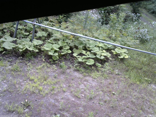 長野県菅平高原 ゆたか山荘 駐車場 2026/07/25 09:15