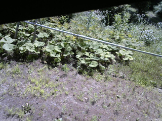 長野県菅平高原 ゆたか山荘 駐車場 2026/07/25 09:30