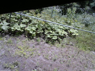 長野県菅平高原 ゆたか山荘 駐車場 2026/07/25 09:45