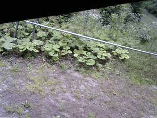 長野県菅平高原 ゆたか山荘 駐車場 2026/07/25 10:15