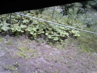 長野県菅平高原 ゆたか山荘 駐車場 2026/07/25 10:30