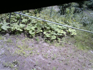 長野県菅平高原 ゆたか山荘 駐車場 2026/07/25 10:45