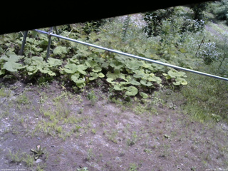 長野県菅平高原 ゆたか山荘 駐車場 2026/07/25 11:00