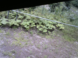 長野県菅平高原 ゆたか山荘 駐車場 2026/07/25 11:15