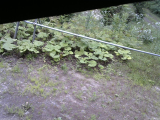 長野県菅平高原 ゆたか山荘 駐車場 2026/07/25 11:30