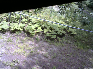 長野県菅平高原 ゆたか山荘 駐車場 2026/07/25 12:30