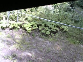 長野県菅平高原 ゆたか山荘 駐車場 2026/07/25 13:30