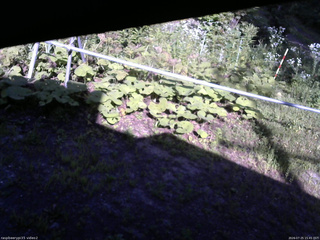 長野県菅平高原 ゆたか山荘 駐車場 2026/07/25 15:45