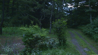 長野県菅平高原 ゆたか山荘 坂上 2026/07/25 05:00