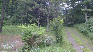 長野県菅平高原 ゆたか山荘 坂上 2026/07/25 05:15