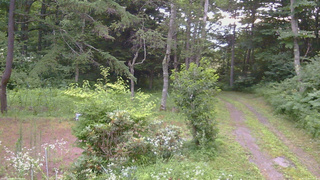 長野県菅平高原 ゆたか山荘 坂上 2026/07/25 05:30