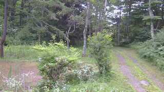 長野県菅平高原 ゆたか山荘 坂上 2026/07/25 05:45