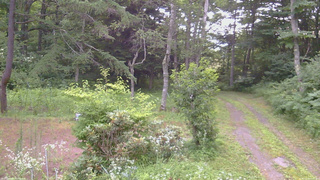 長野県菅平高原 ゆたか山荘 坂上 2026/07/25 06:00