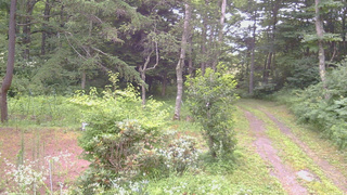 長野県菅平高原 ゆたか山荘 坂上 2026/07/25 06:15